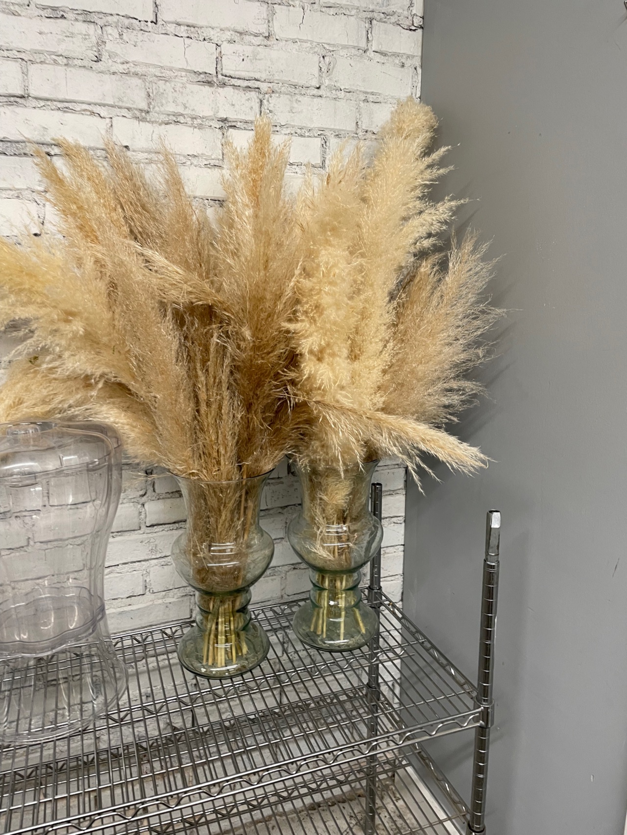 Tall plumes of dried pampas grass arranged in two gold-footed glass vases on a wire rack.